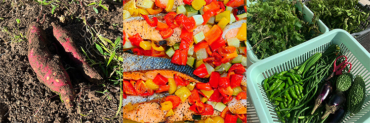 選された素材選び