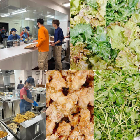 本日の素材たち