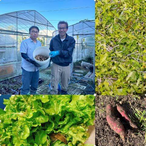 本日の調理の様子