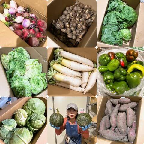 到着した野菜とおちゃめな社長