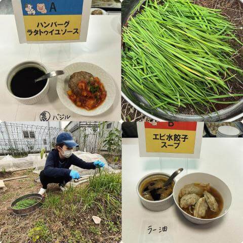 本日の調理の様子