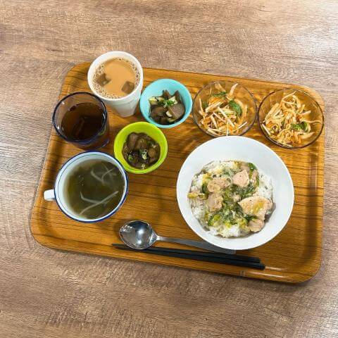 ネギ塩鶏ごはん