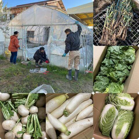 本日の調理の様子