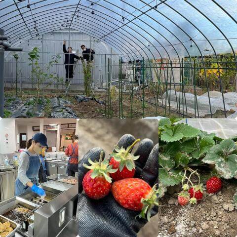 本日の調理の様子