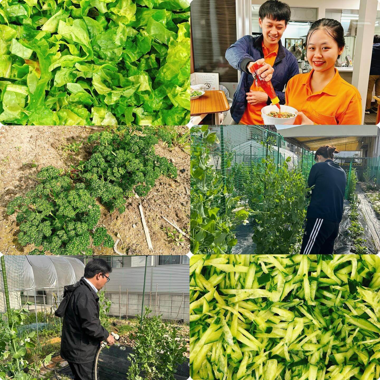 4月15日の厨房の様子