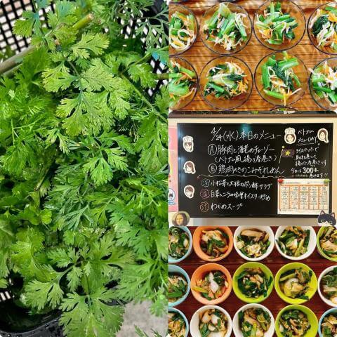 4月24日の副菜とメニュー表