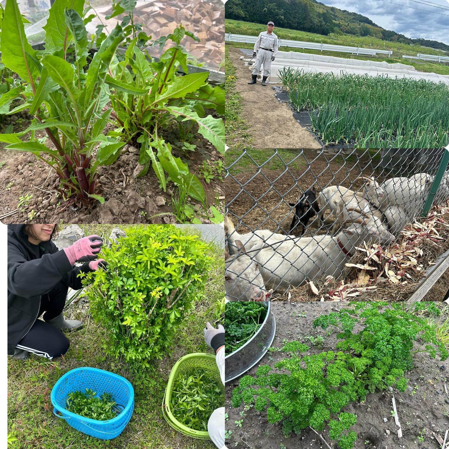 4月30日のCメニュー