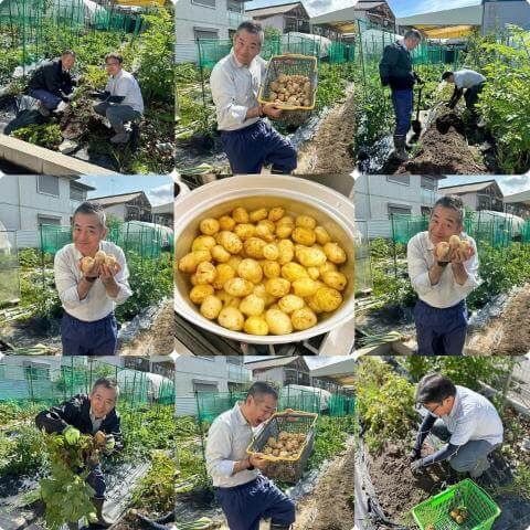 6月11日の農園の様子