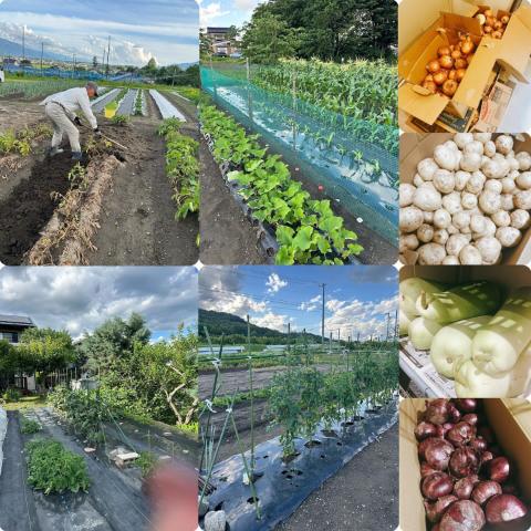 7月2日の厨房の様子