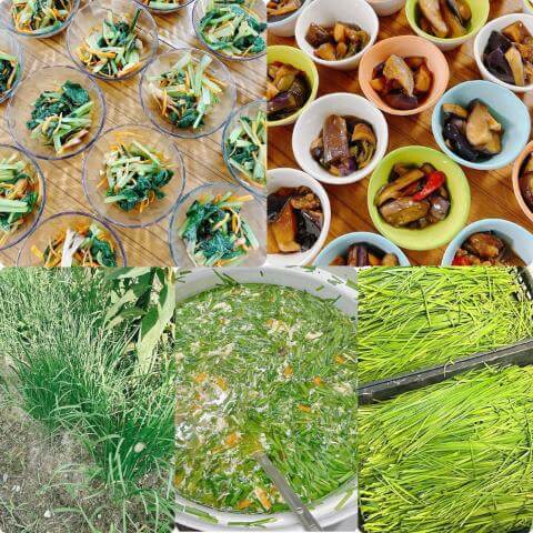 9月11日のメニューと黒板