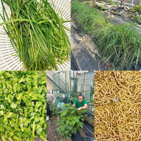 11月11日の厨房の様子