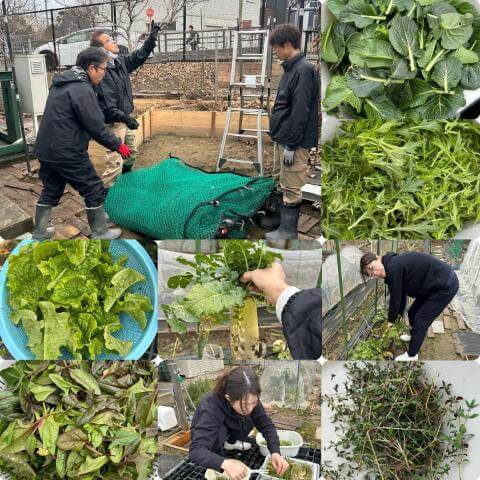 1月20日のおかずの様子