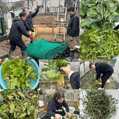 1月20日のおかずの様子