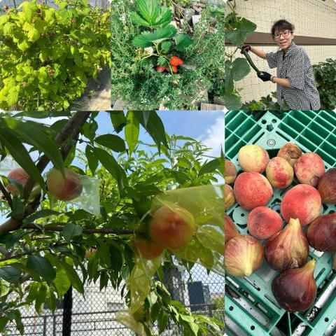 6月24日の厨房の様子