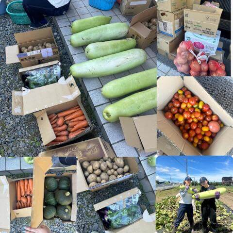 7月22日の農園の様子