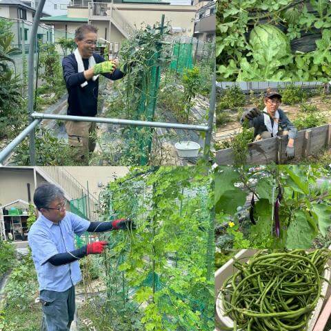 8月4日のCメニュー