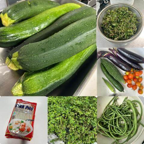 8月5日の農園の様子