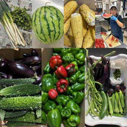 9月1日の農園の様子