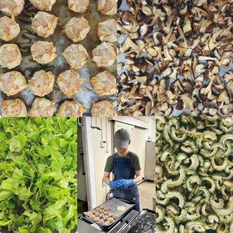 9月5日の農園の様子