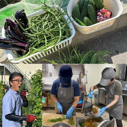 9月16日の農園の様子