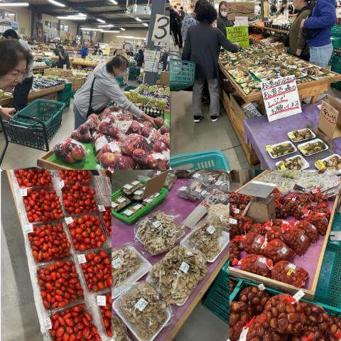 10月1日の農園の様子