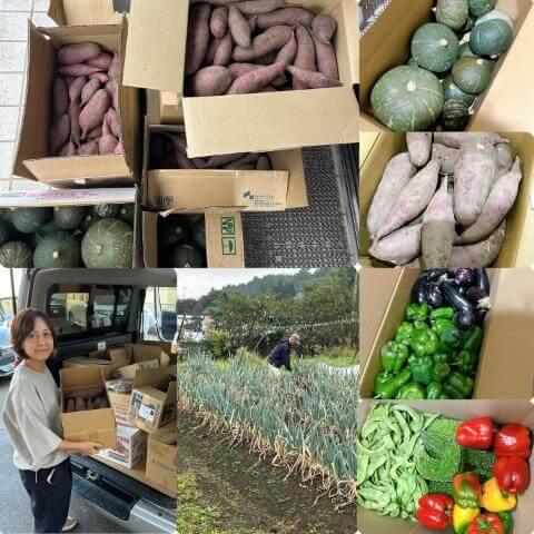 10月2日の野菜の様子