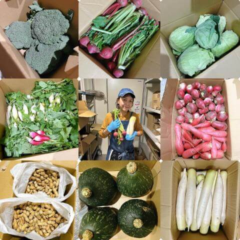 11月4日の食堂の様子