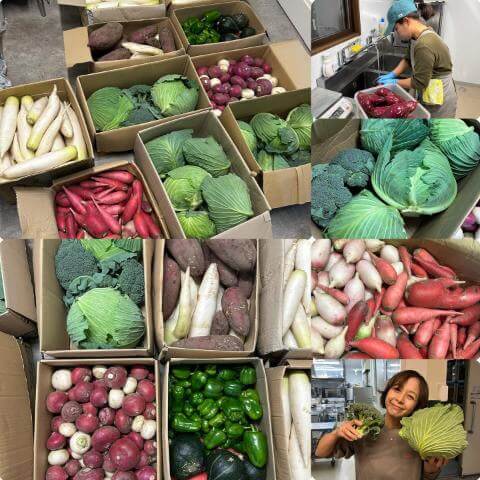 11月18日の農園の様子