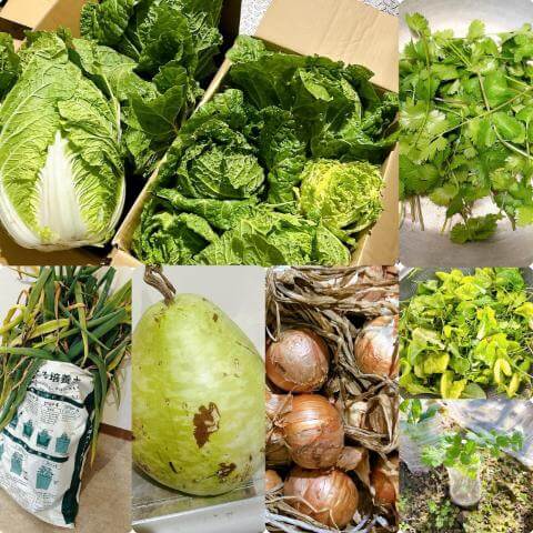 11月27日の食堂の様子