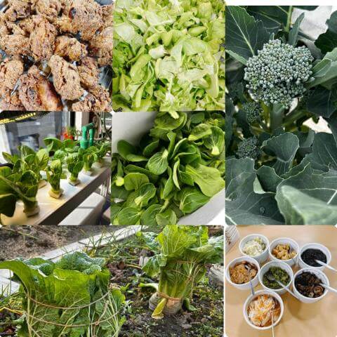 1月13日の食堂の様子