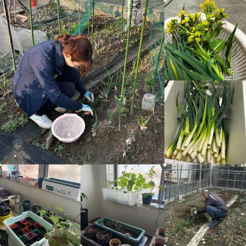 2月16日の食堂の様子