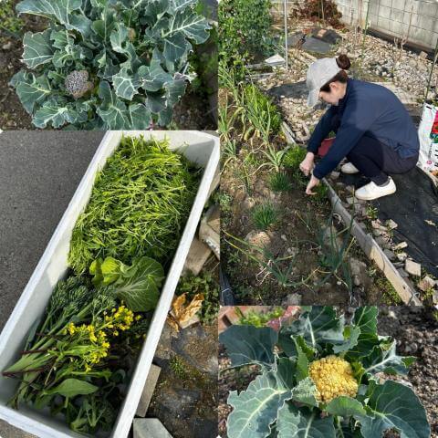 3月2日の食堂の様子