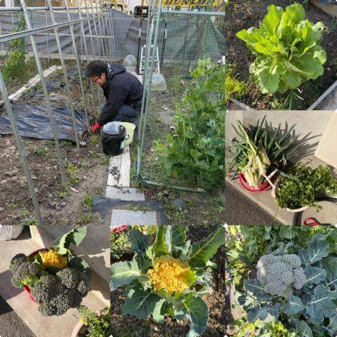 3月9日の食堂の様子