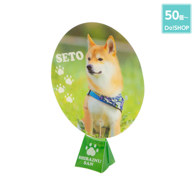 50個~立つうちわ(レギュラータイプ)-写真