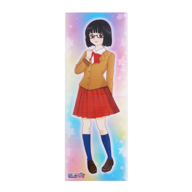 ダブルポケットファイル(ポスタータイプ・A4)-アイドル・アニメ・ライブ柄-写真