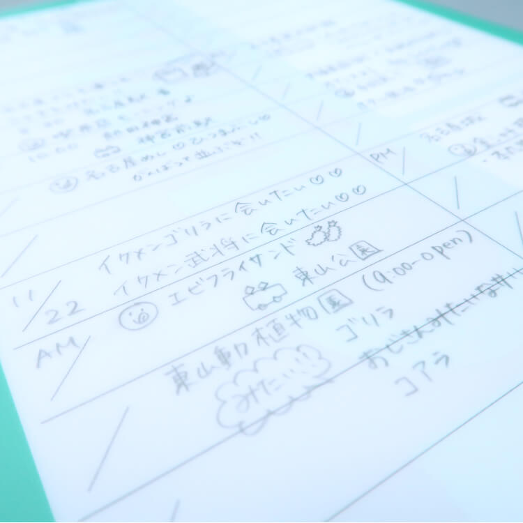 書けるファイル(A4)-スケジュールに記入-写真