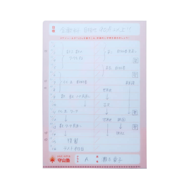 書けるファイル(A4)-塾・学校・受験柄-裏面-写真