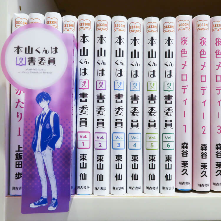 棚差しPOPしおり-本棚正面-写真