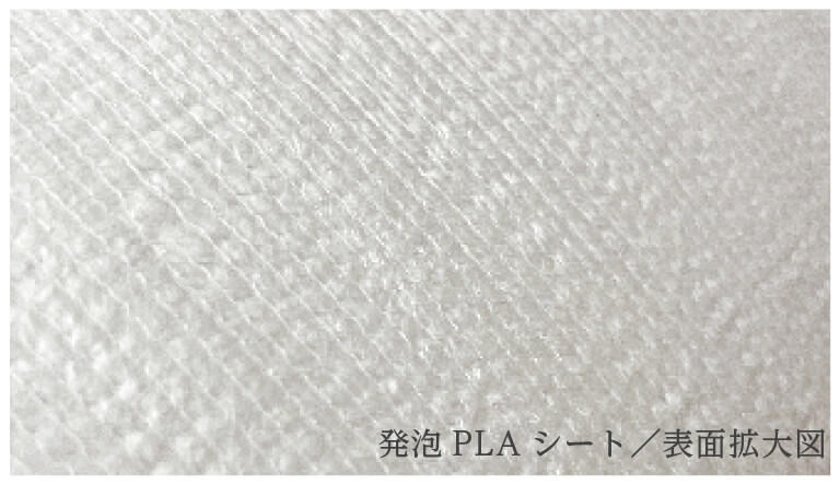 発泡PLAシート／表面拡大図-写真