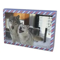 ポストカードスタンド‐写真