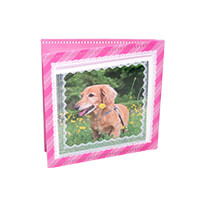 正方形の写真用のフォトケースとしても使えます。-サムネイル写真