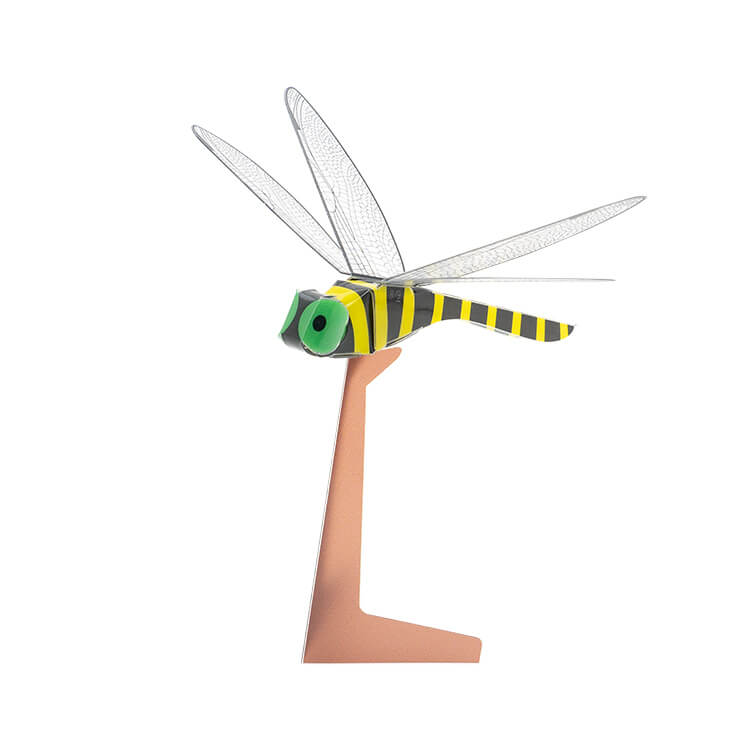 PPクラフト トンボ-写真