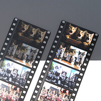 クリア素材を生かして本物っぽく、絵柄を白で抑えてはっきりと-サムネイル写真