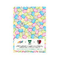 東洋製罐グループホールディングス株式会社様_エコキャップシート(100%)クリアファイル「使った容器はリサイクル」-裏-サムネイル写真