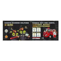 ダブルポケットファイル(ポスタータイプ・A4)-写真