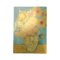 キラキラファイル-写真