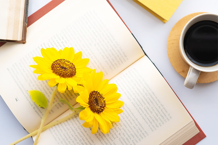 小説イメージ‐写真