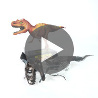 組み立て模型パズル-動画再生-サムネイル写真