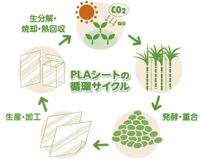 PLAシートの循環サイクルCO₂吸収→発酵・重合→生産・加工→生分解・焼却・熱回収