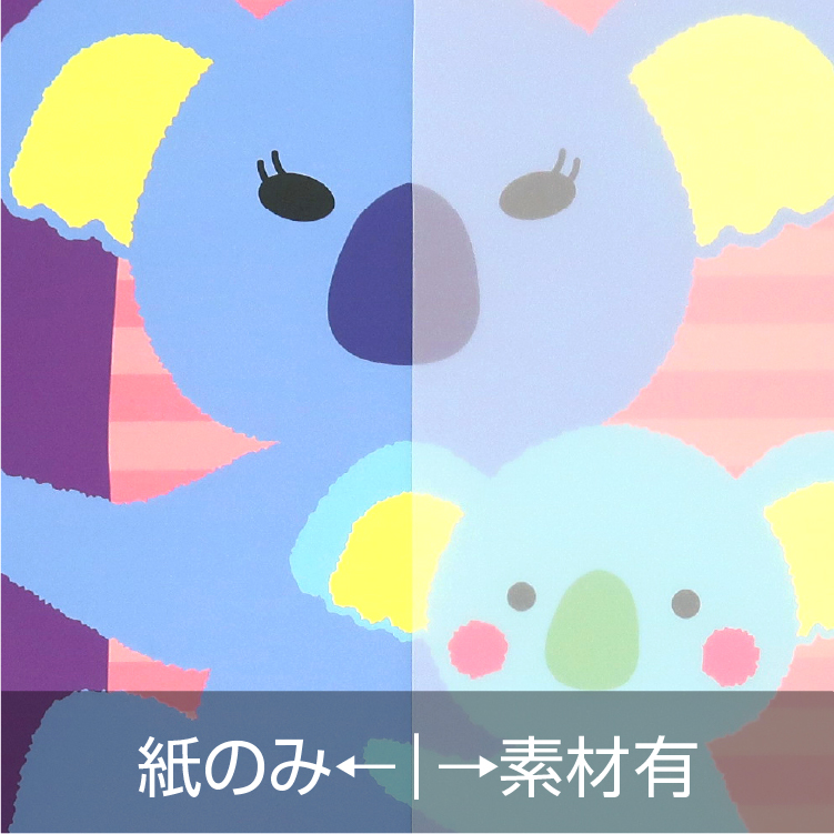 梨地pp-透過-写真